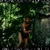 Tarzan-X-Jungle-Heat